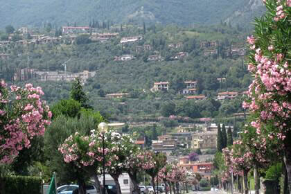 Toscolano Maderno the hill panoramic view from lake Garda